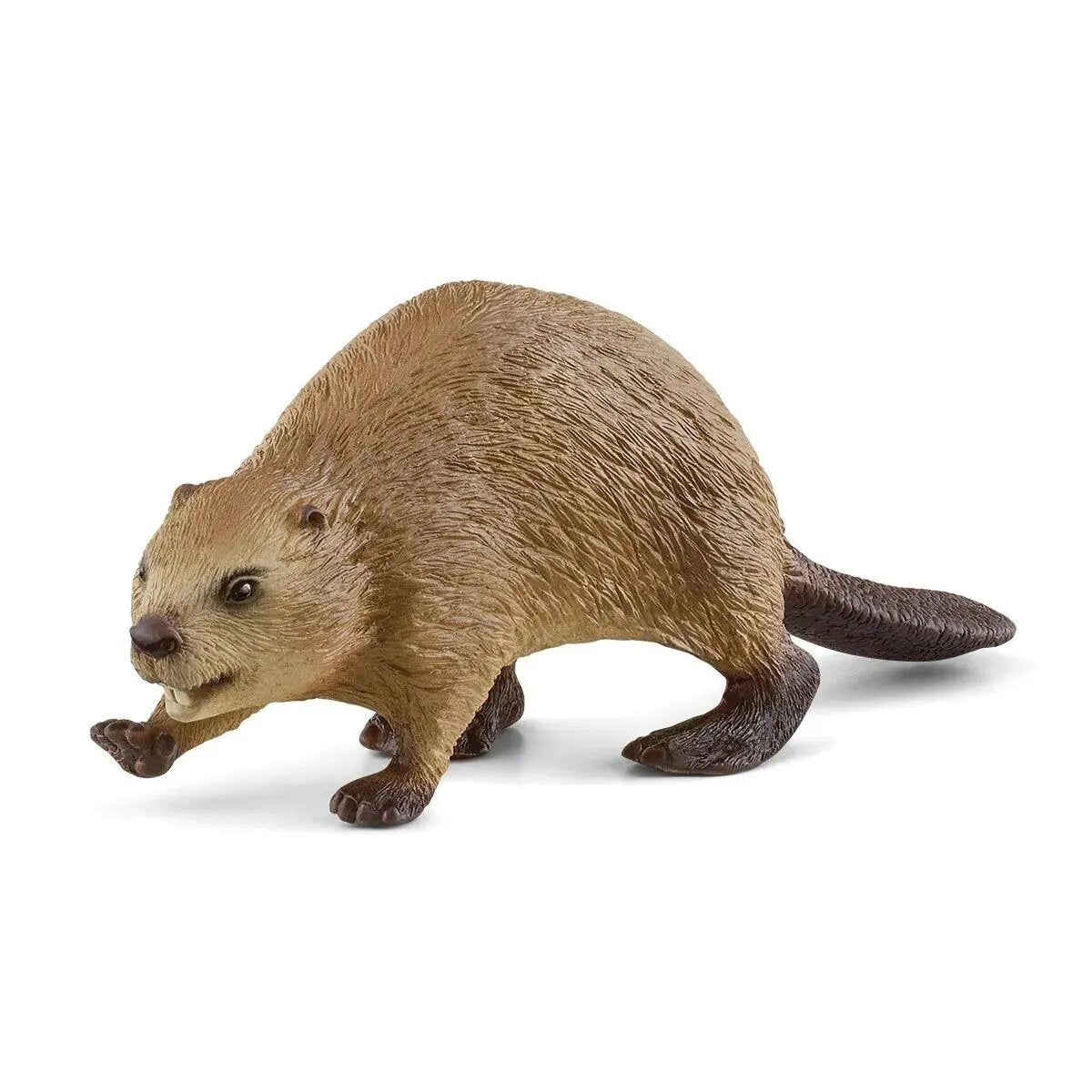 Schleich® 14855 Wild Life - Biber